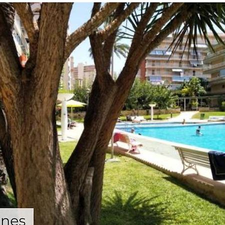 Apartamento Entero En La Playa San Juan Benacantil 阿利坎特 外观 照片