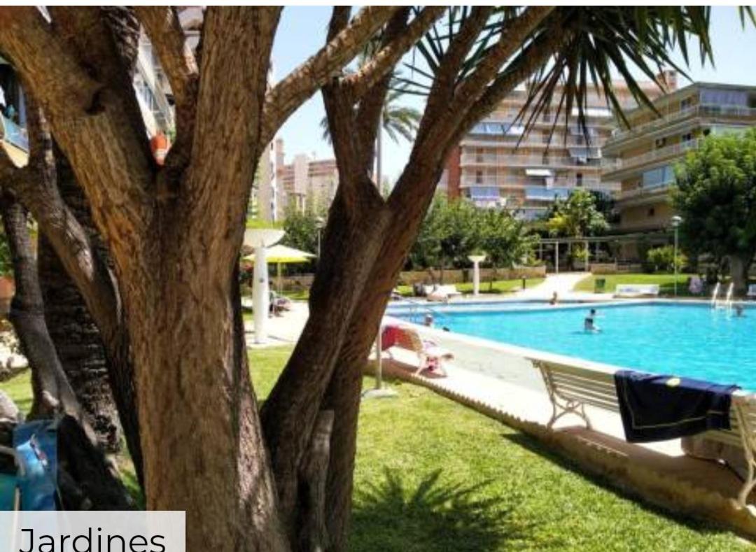 Apartamento Entero En La Playa San Juan Benacantil 阿利坎特 外观 照片
